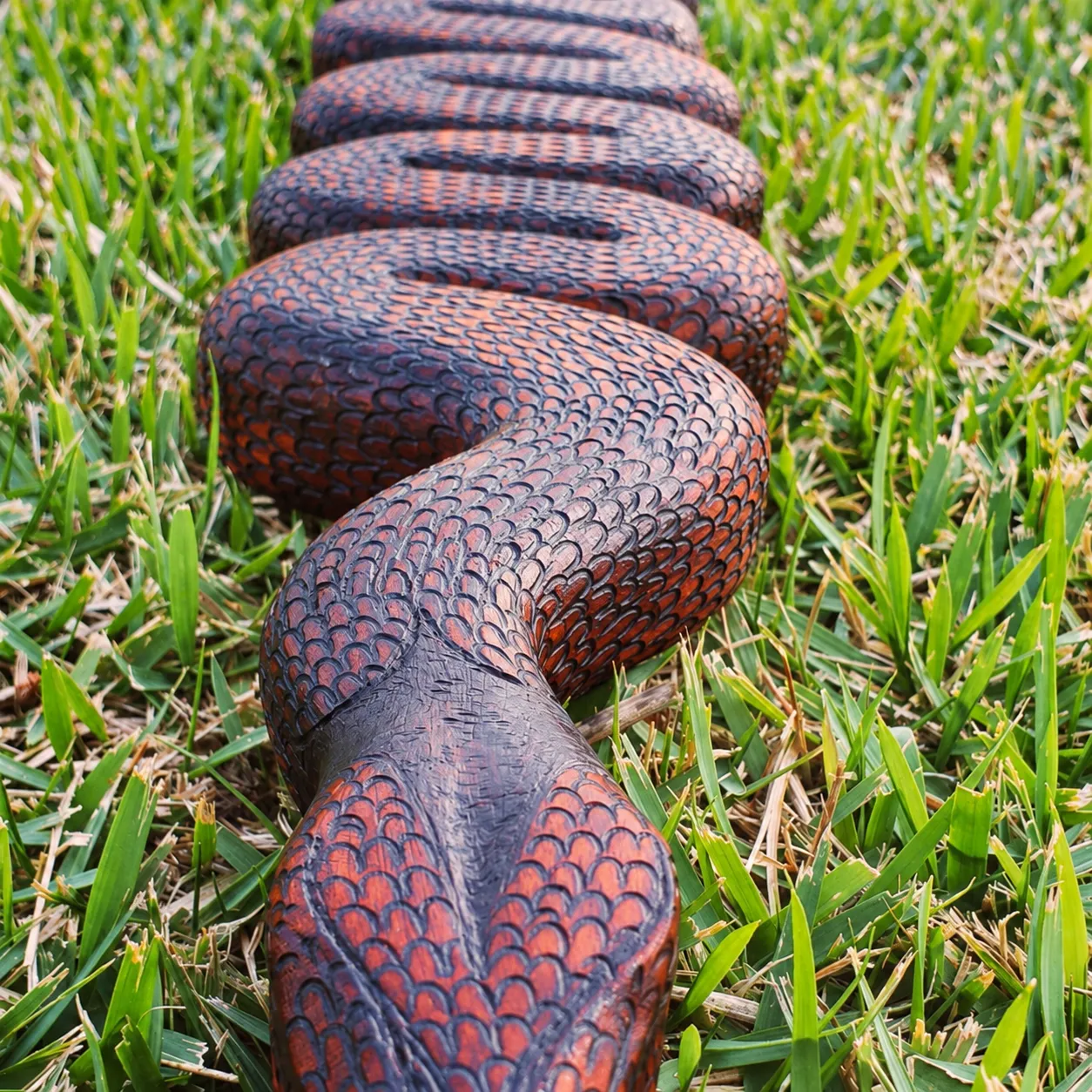 Tepi serpente — tepis, foto 2 de 8