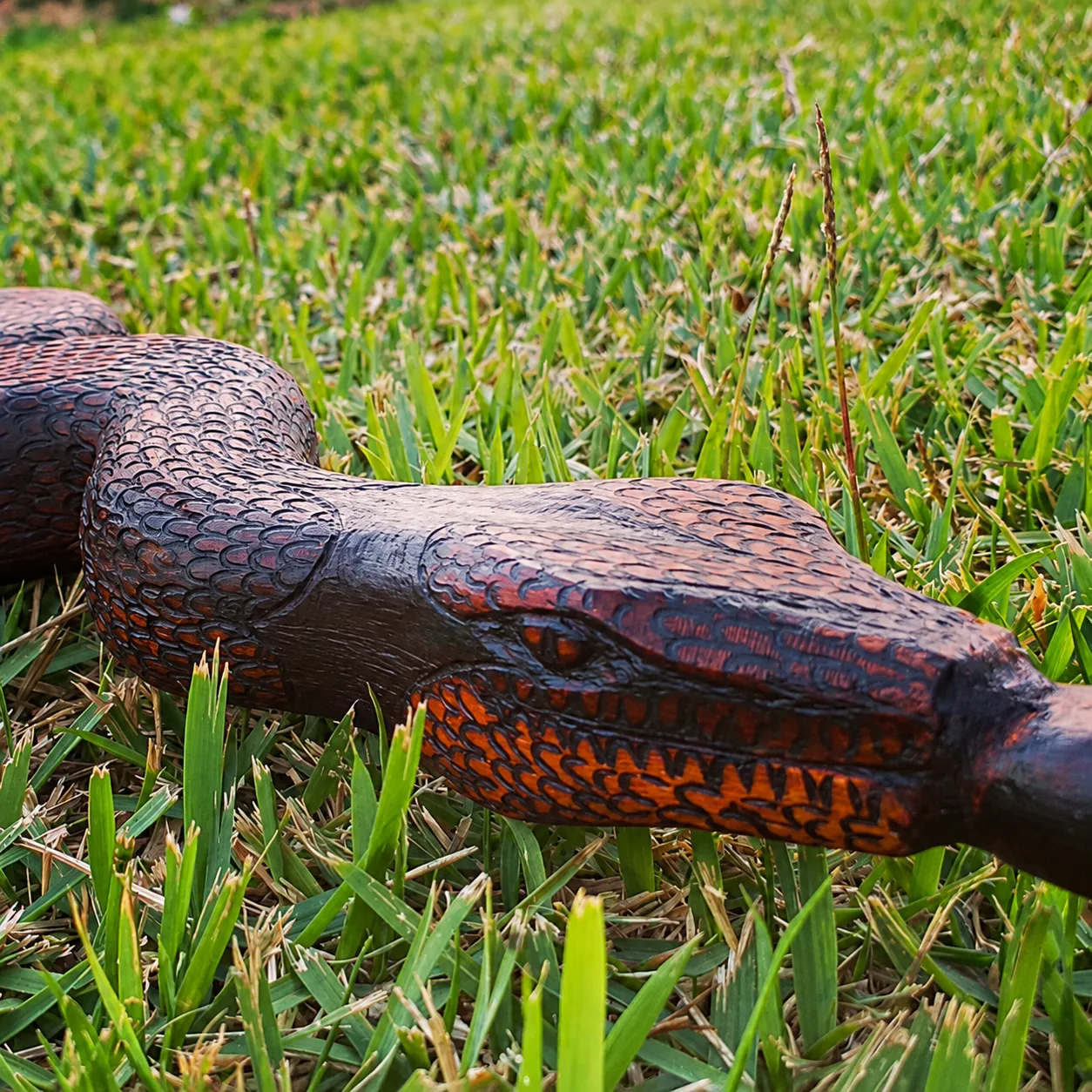 Tepi serpente — tepis, foto 3 de 8