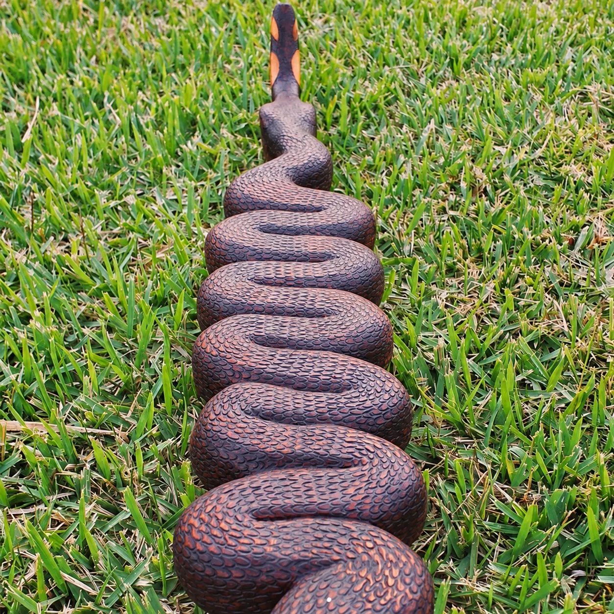 Tepi serpente — tepis, foto 6 de 8