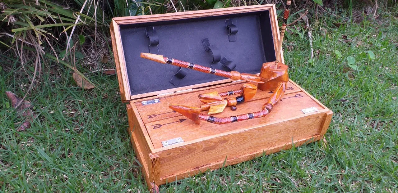 Estojo de instrumentos — conjuntos e estojos, foto 6 de 7