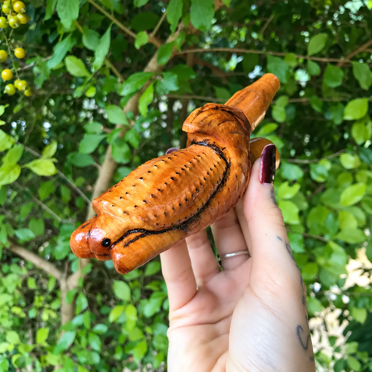 Kuripe 1 — kuripes, foto 1 de 1