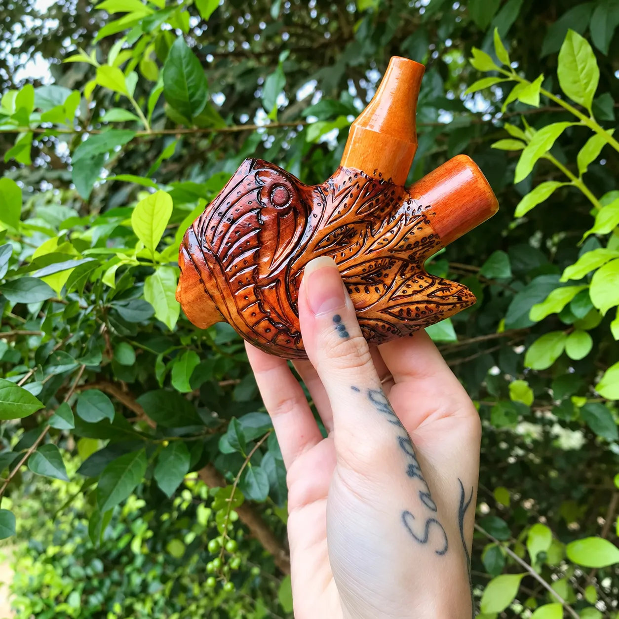 Kuripe 23 — kuripes, foto 1 de 1