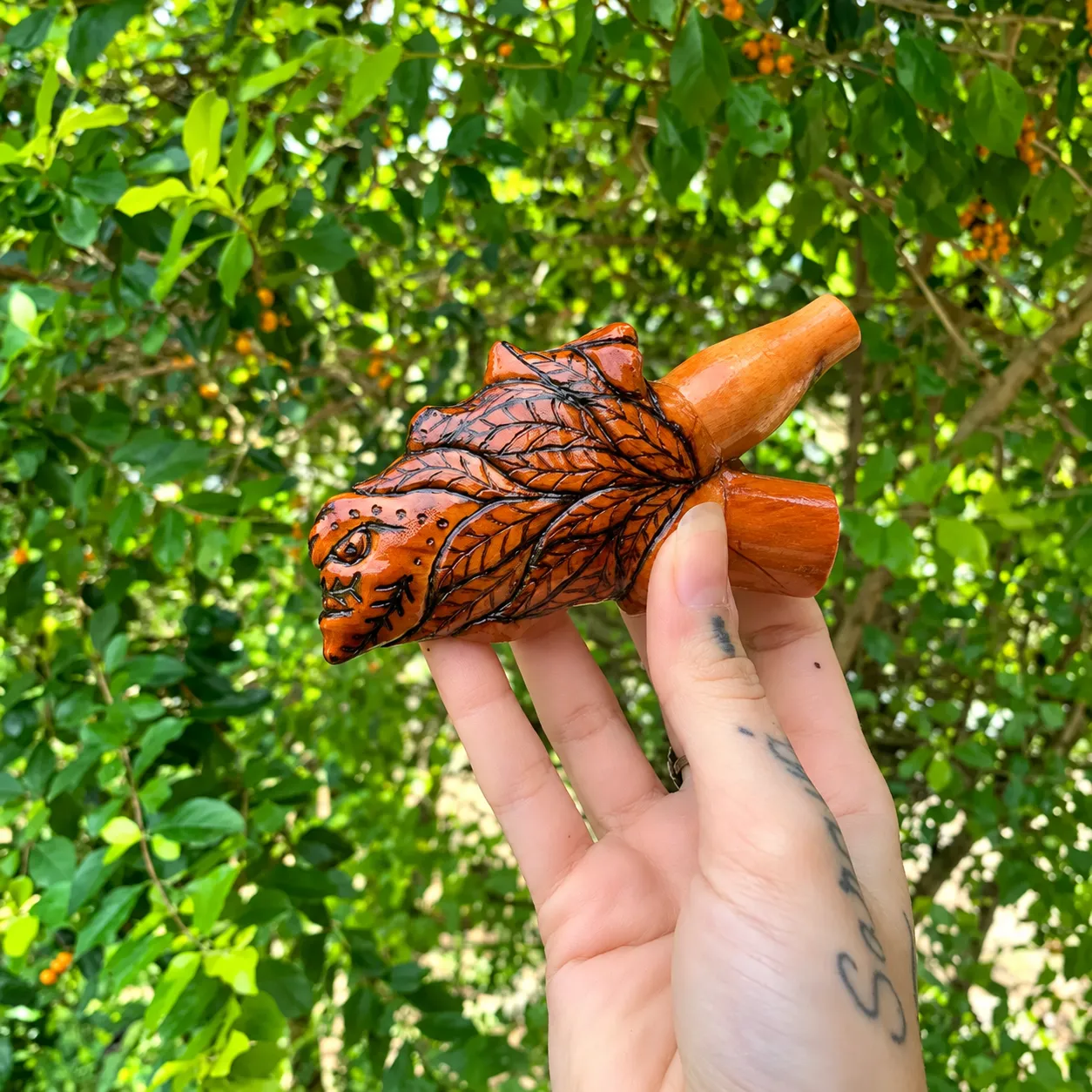Kuripe 8 — kuripes, foto 1 de 1